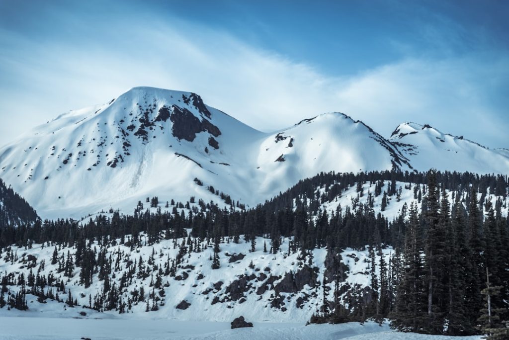 Photo Wilderness landscape