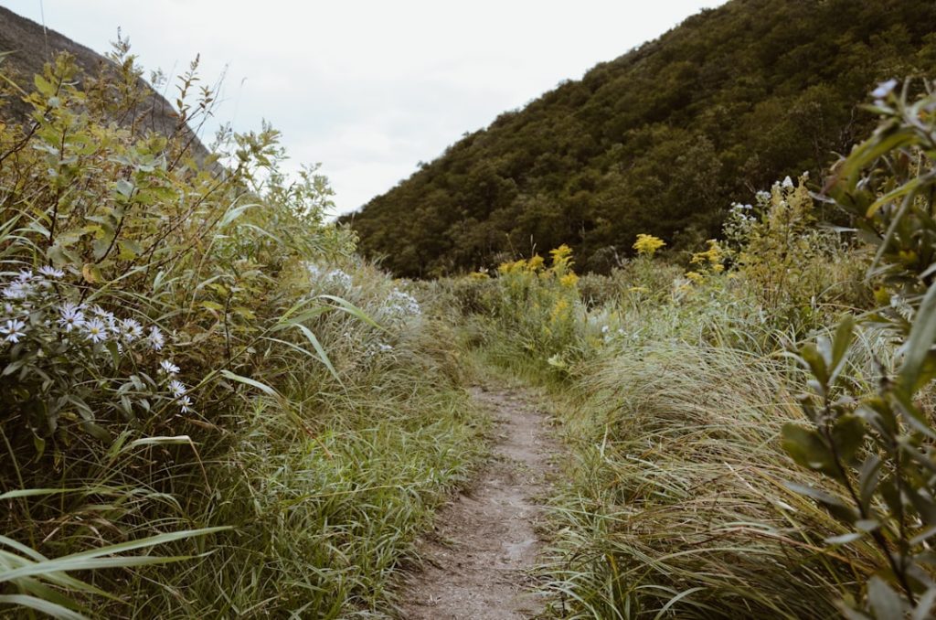 Photo Hiking trail